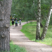PM2007_101
